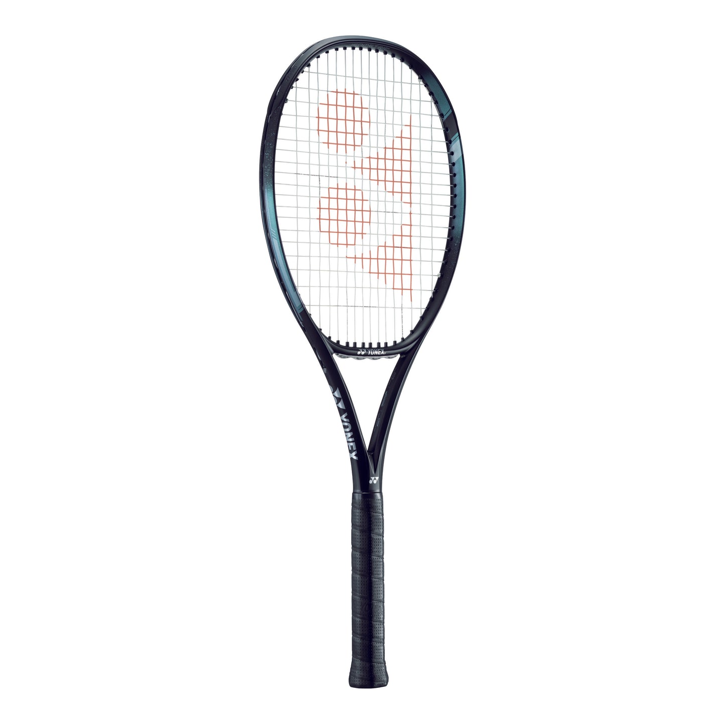 Ezone 100L (285g)