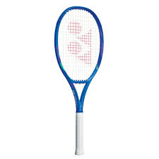 Ezone100 L (285g)